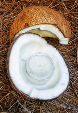 Cool Coconut Lippie Scrub