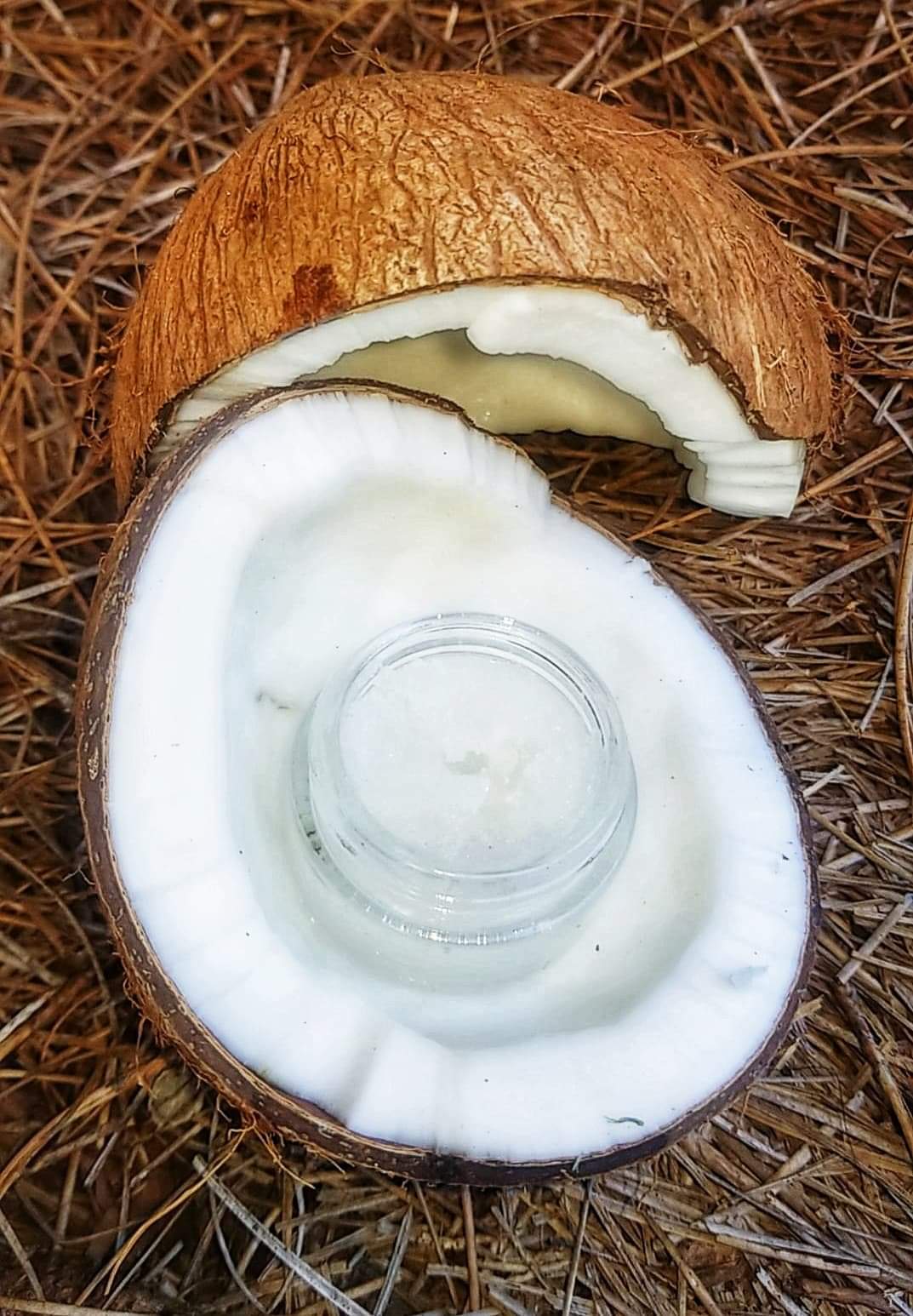 Cool Coconut Lippie Scrub